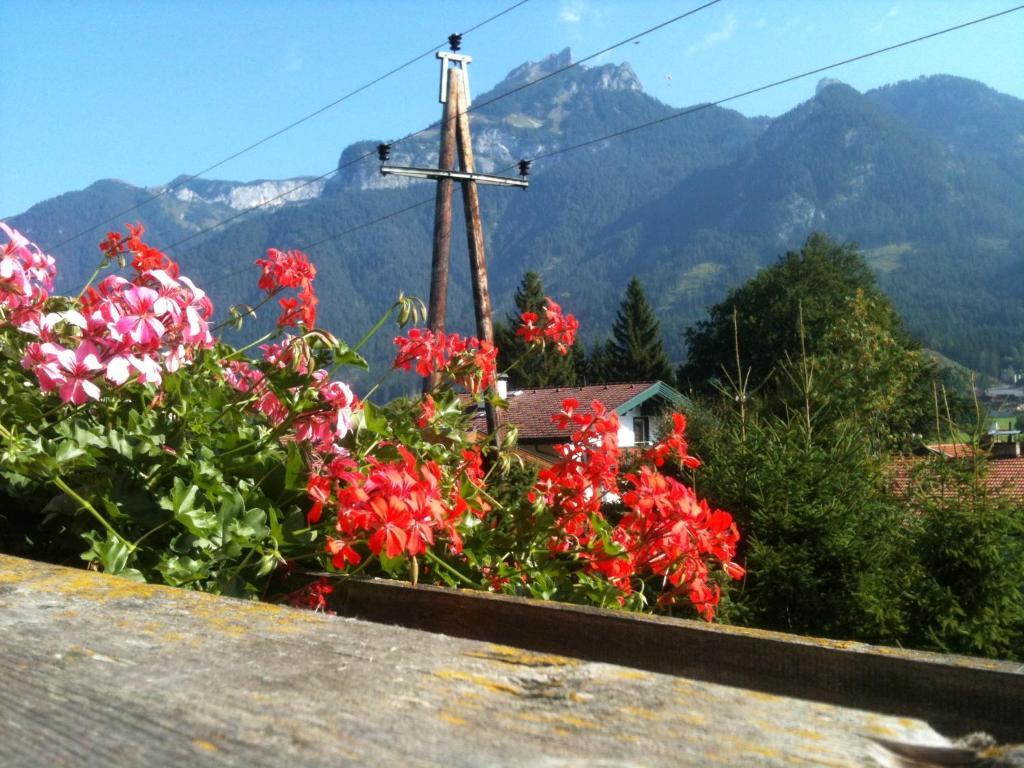 Pension Larchenhof Maurach  Oda fotoğraf